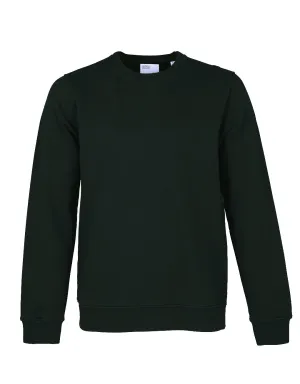 Colorful Standard Crew Sweat hunter green